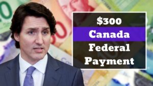 Read more about the article Canada’s $300 Federal Fee: Who Will get It & How To Declare..