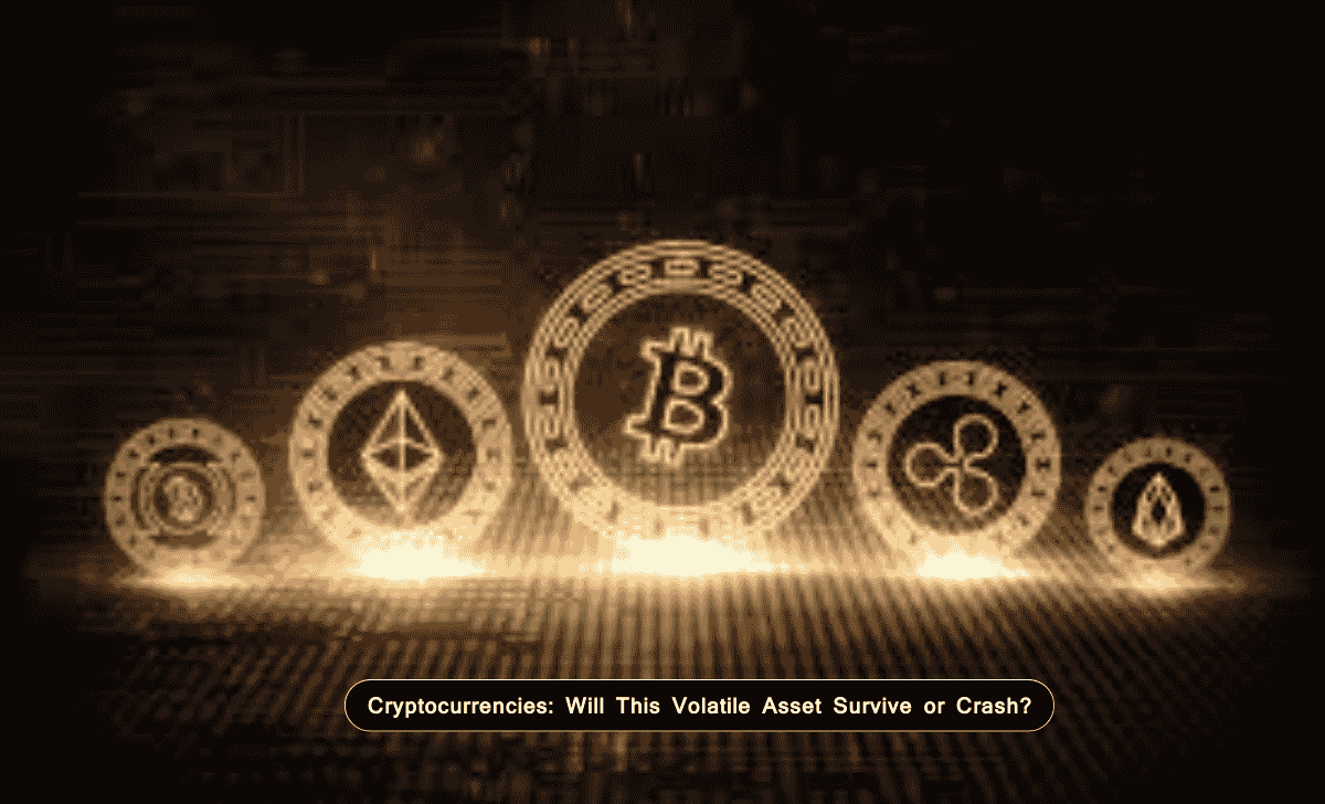 Cryptocurrencies: Will This Volatile Asset Survive or Crash?